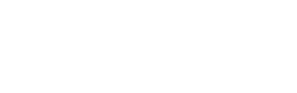 ARIIA LOGO BLANC PNG